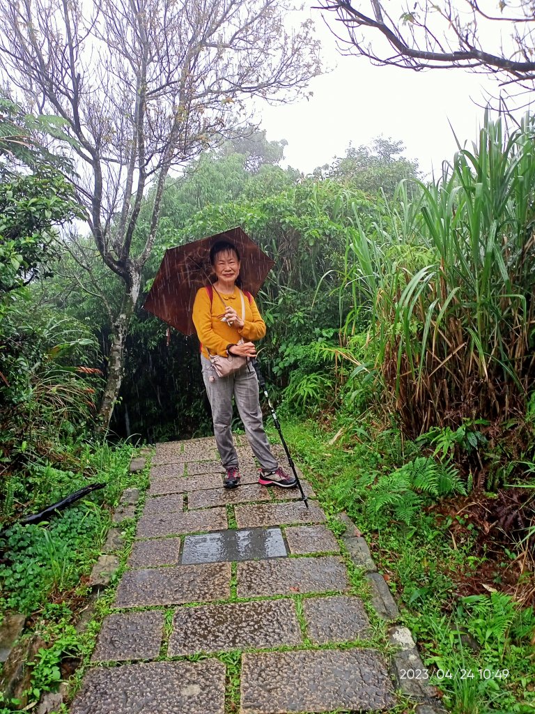 【臺北大縱走 6】象山公園→妙高台→拇指山頂峰登山口→南港山南峰→南港山→九五峰→中華科技大學_2126900