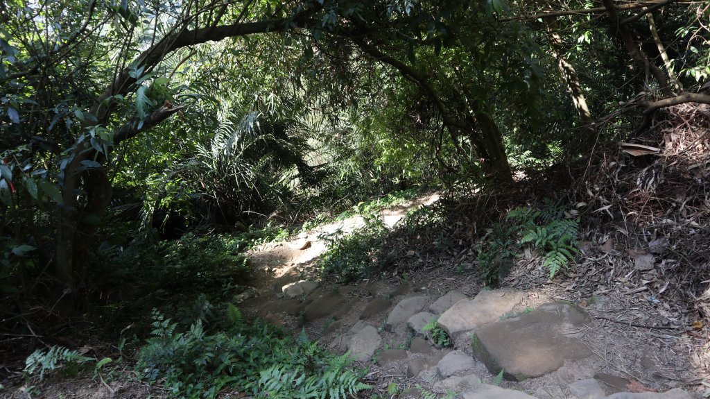 溪洲山登山健行趣(小百岳26號)_2069802