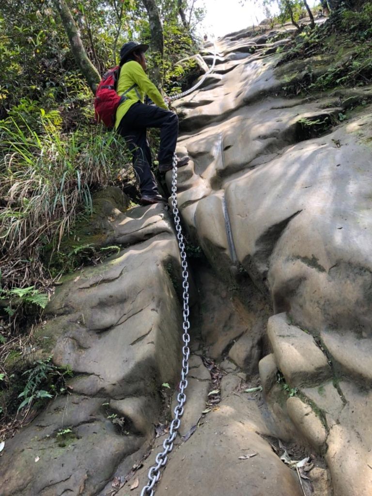 20180318 皇帝殿_290497