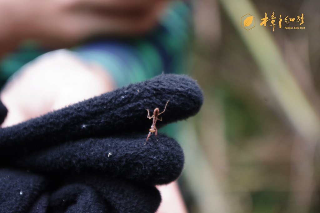 樟之細路 | 09/21砍草任務_686395