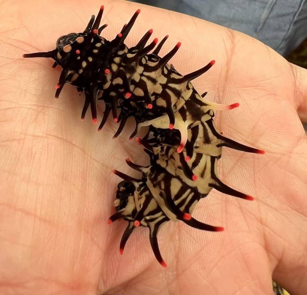 馬那邦山230909_2464932