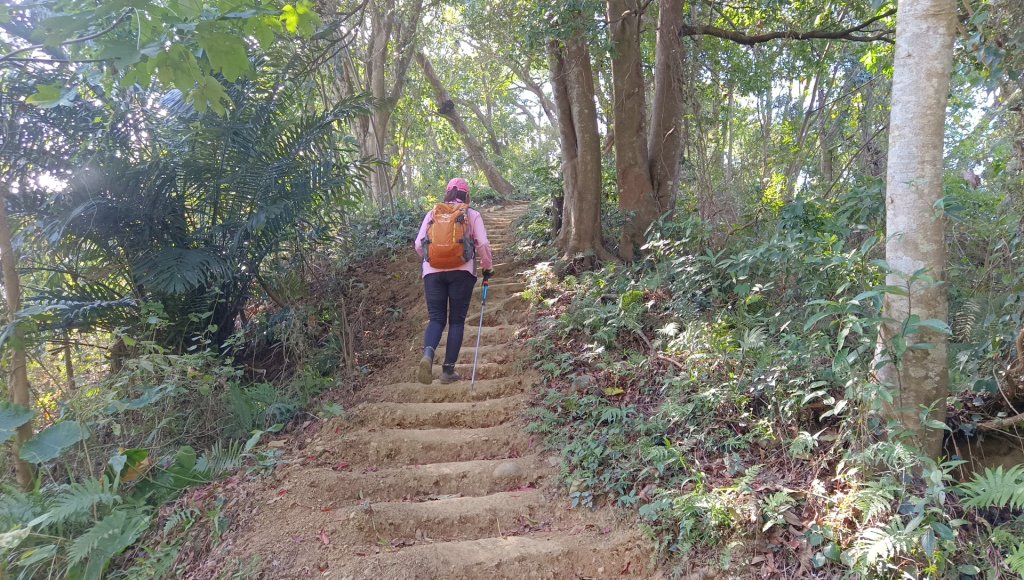 (姨婆趴趴走)第四十五集:新竹竹東三山（新具庄山、樹杞林山、員崠子山）環狀縱走_2662332