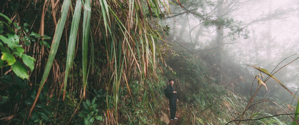 谷關七雄之二｜馬崙山_393324