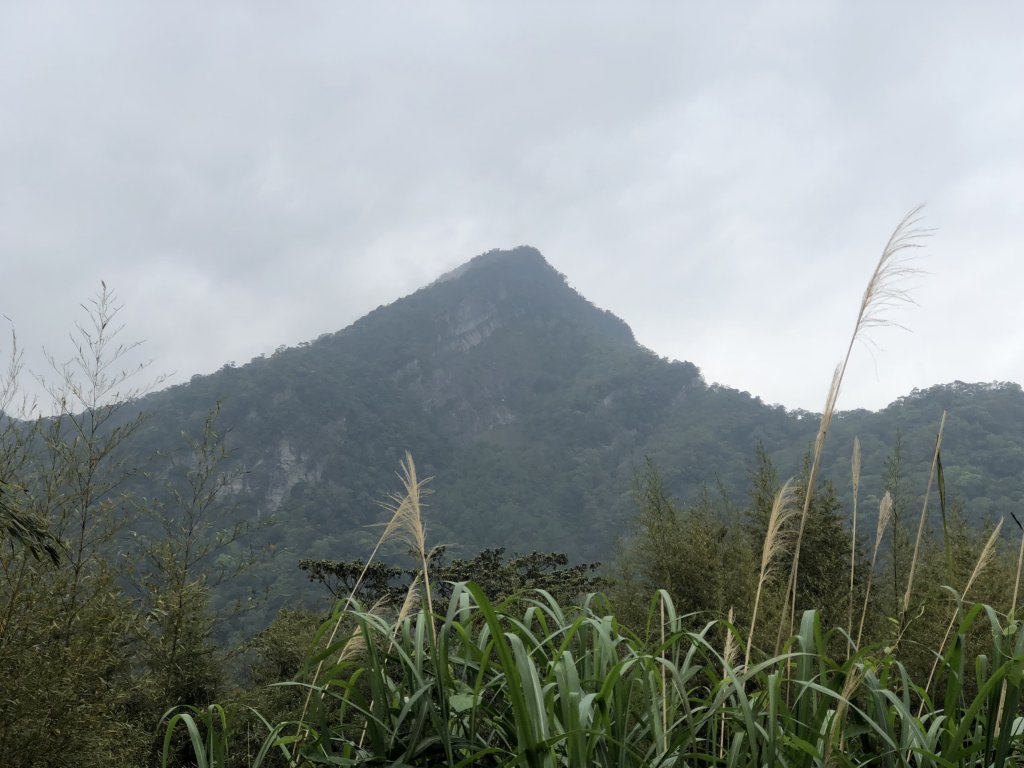 2018.04.07復興三尖-那結山_1005342