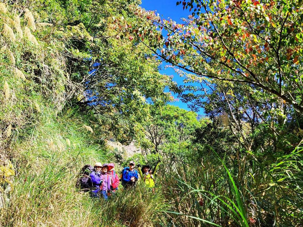 【神池上小關山】媲美喜多麗雲海夕陽_2354934