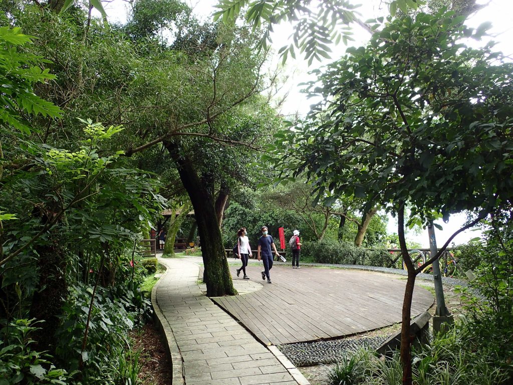 訪仙跡岩, 尋找神仙落腳的痕跡!_1740806