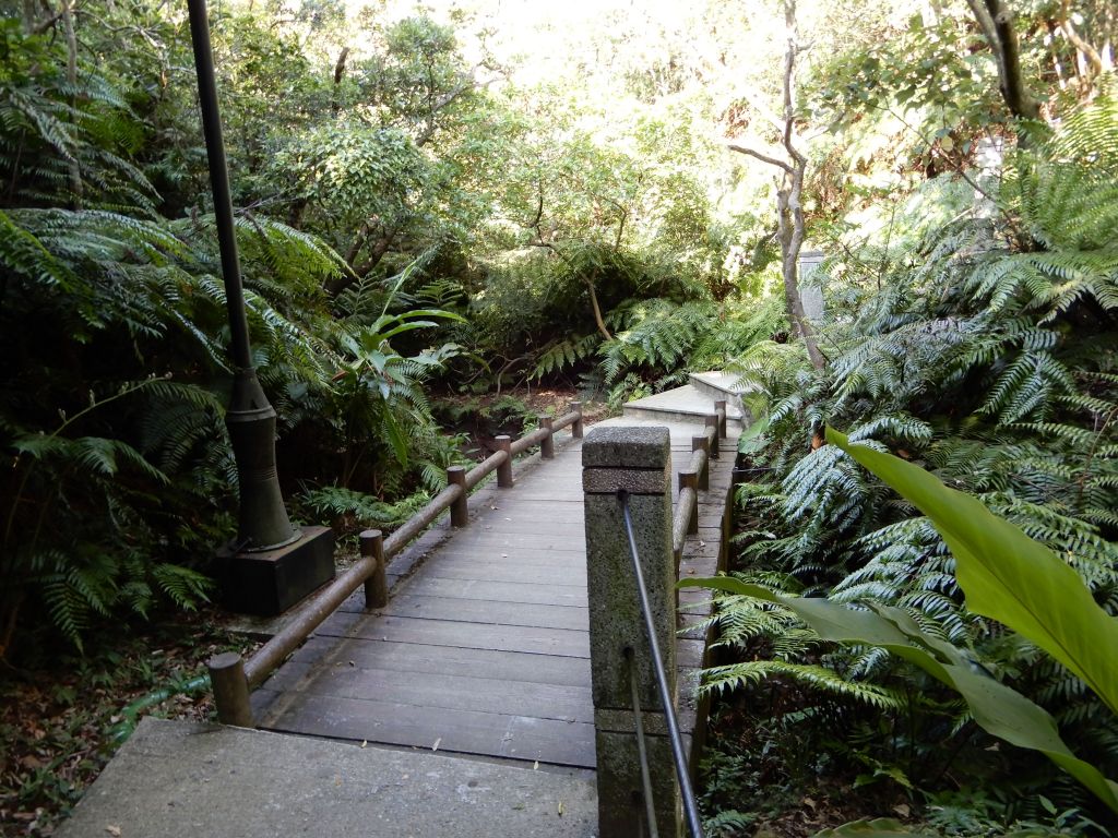20180731_ 海興步道/大武崙山_375602