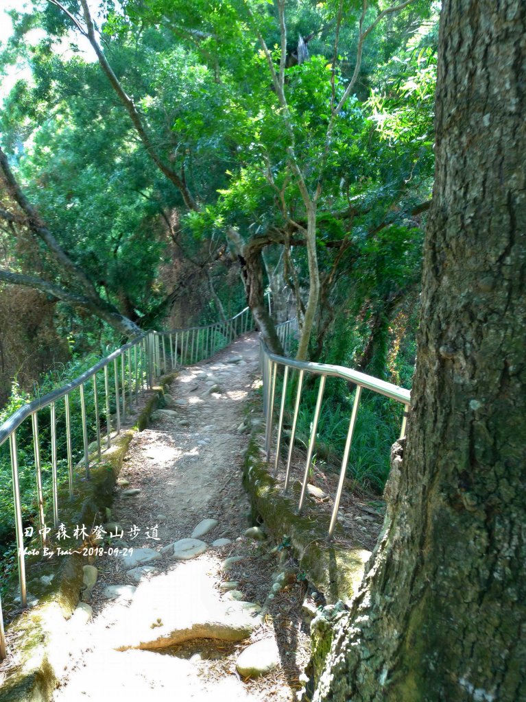 田中森林公園登山步道20180929_455542