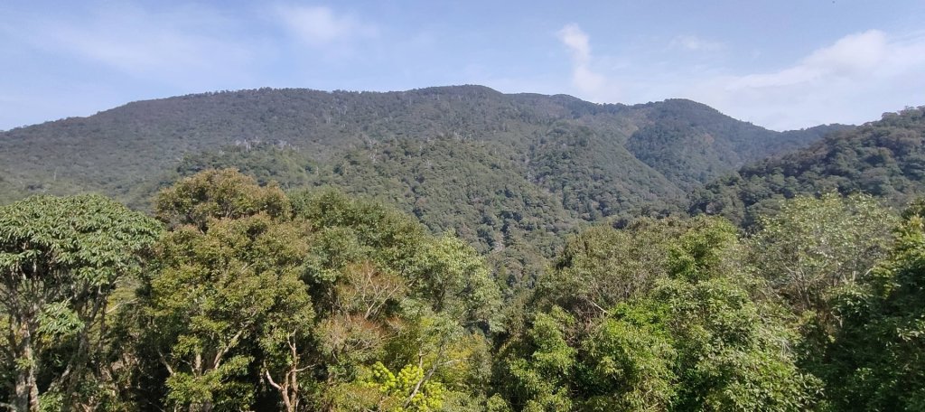 拉拉山國家森林遊樂區_2752200