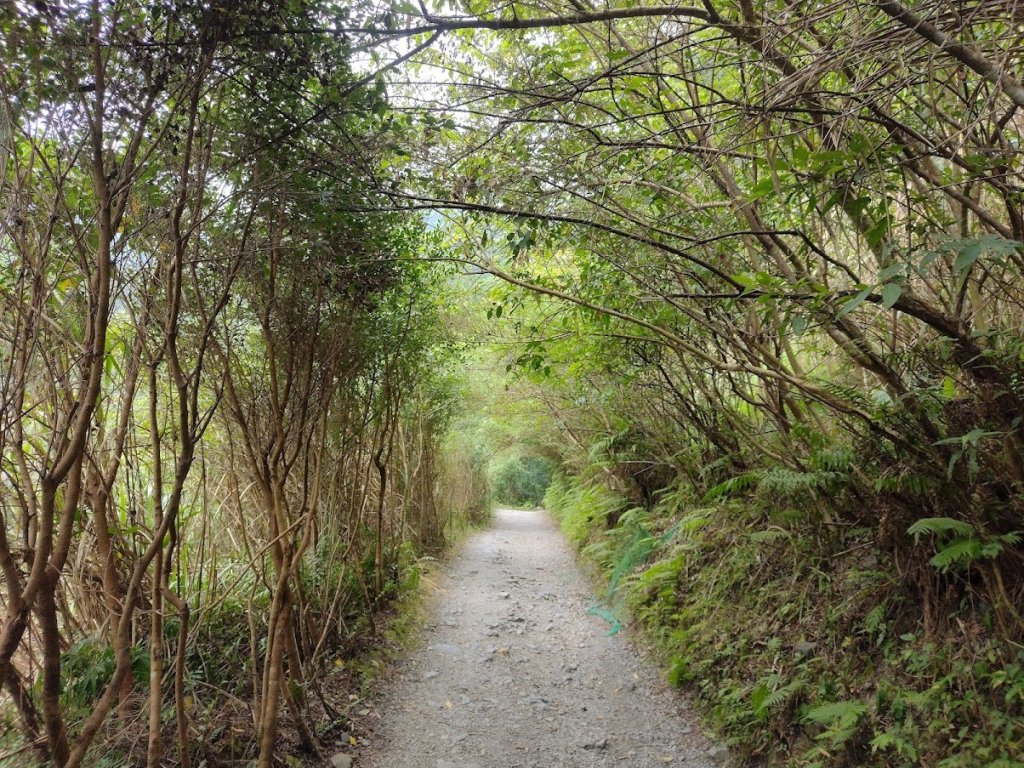 2022 7/25 三角崙山_1778239