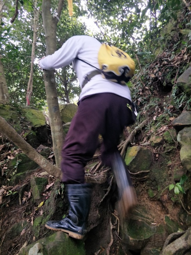 小百岳:金面山_1619329