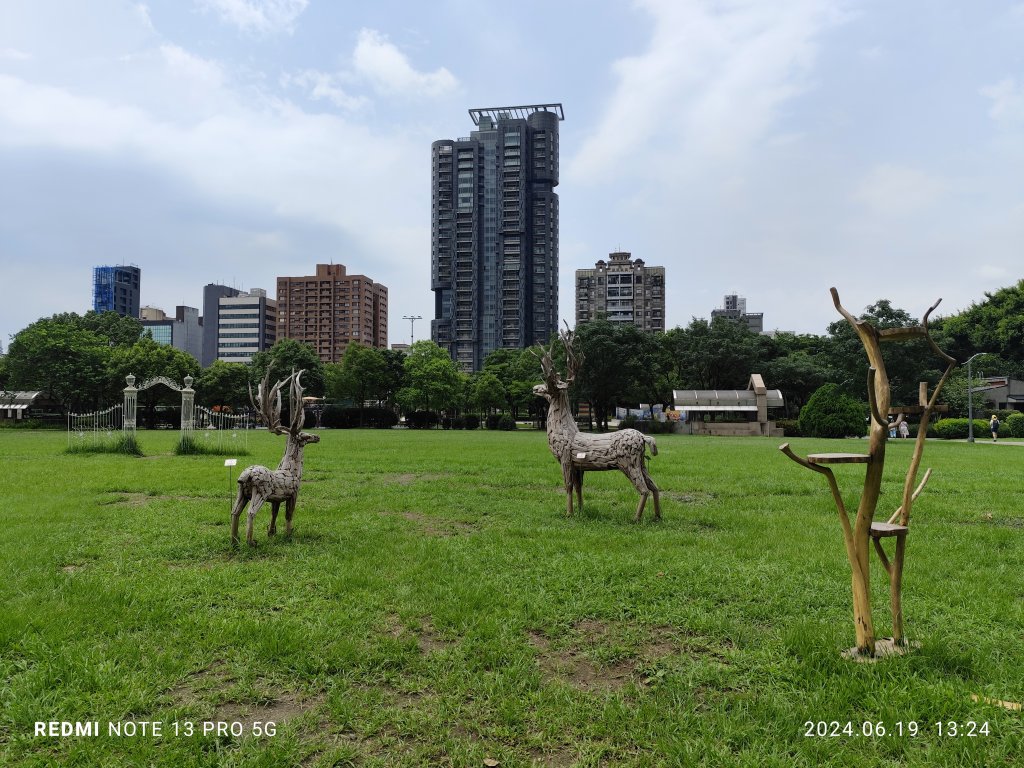 大安森林公園、安湖三號公園【走路趣尋寶，全臺齊步走】封面圖