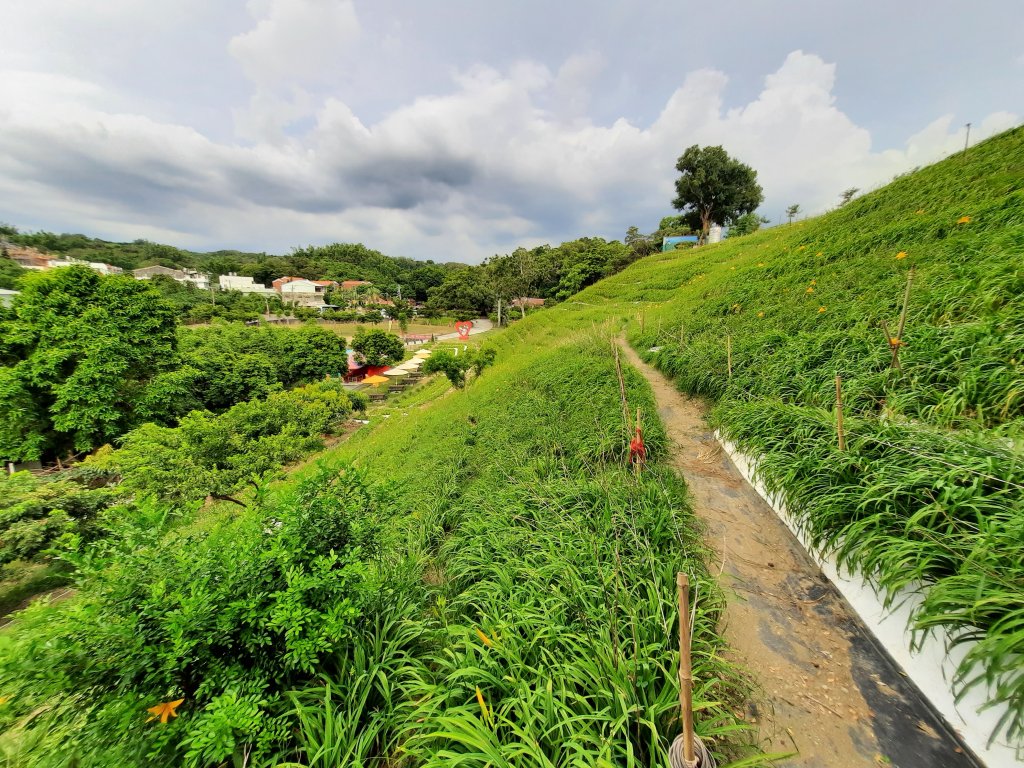 《彰化》花壇虎山巖步道20200725_1047473