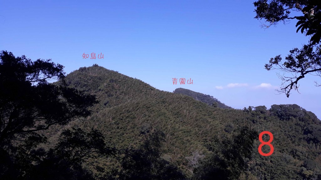 步道巡訪員│四大天王山步道二月巡訪日誌_820753