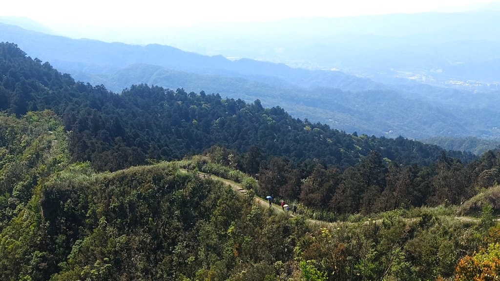 春天鮮綠的呢喃基隆荖寮坑古道上望古山登五分山O型_2747337