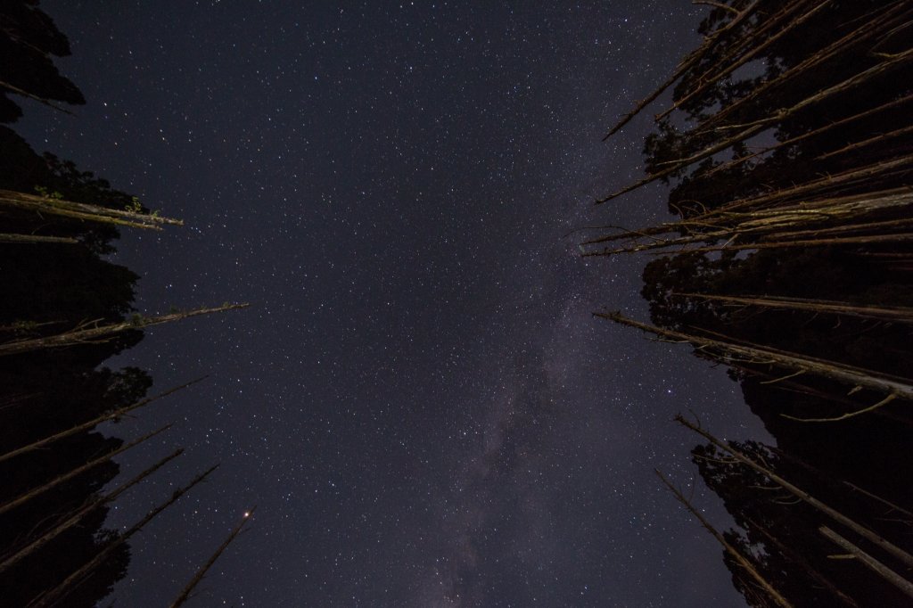 水樣森林 第一次在山裡過夜_659138