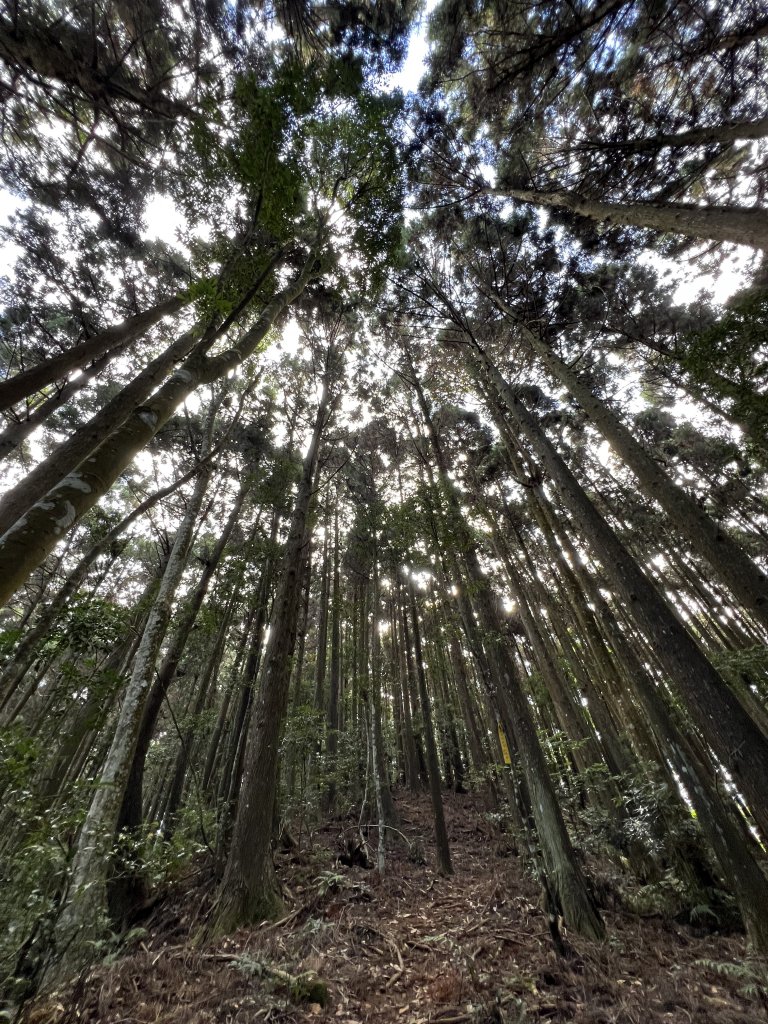 【鳥洗縱走】_1900387