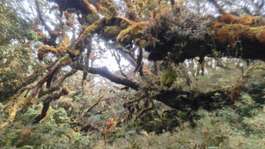 茶仁山單攻2025年4月4日_2753329