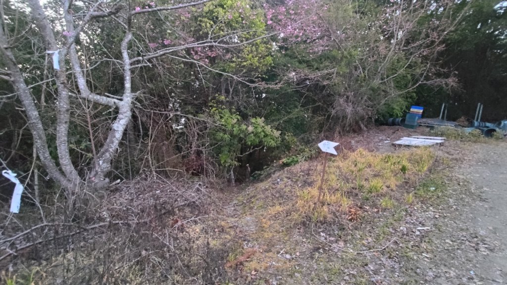 梅峰山地農場立鷹山_2749458
