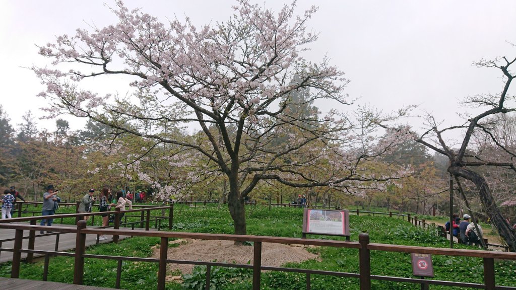 20210321神阿縱走_1618216