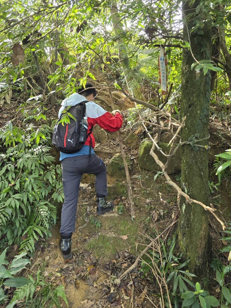 大橫屏山_2872638