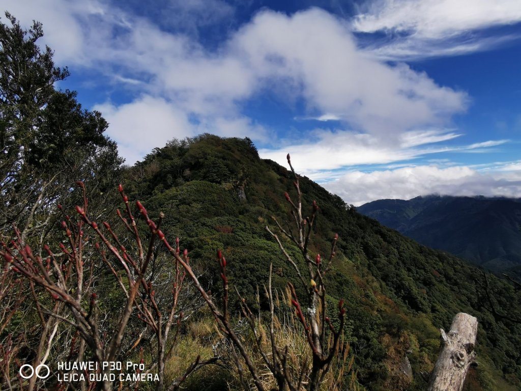 烈日中的濕意森旅-騰湳加O繞-12/20_1214340