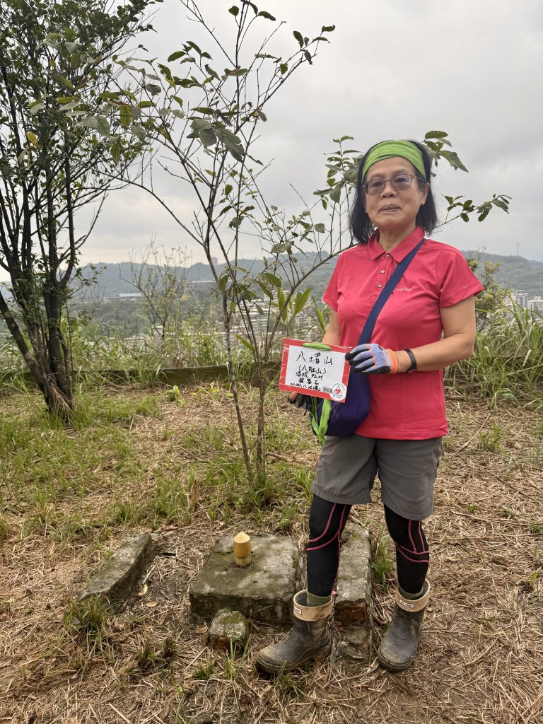 七上八下_2713434