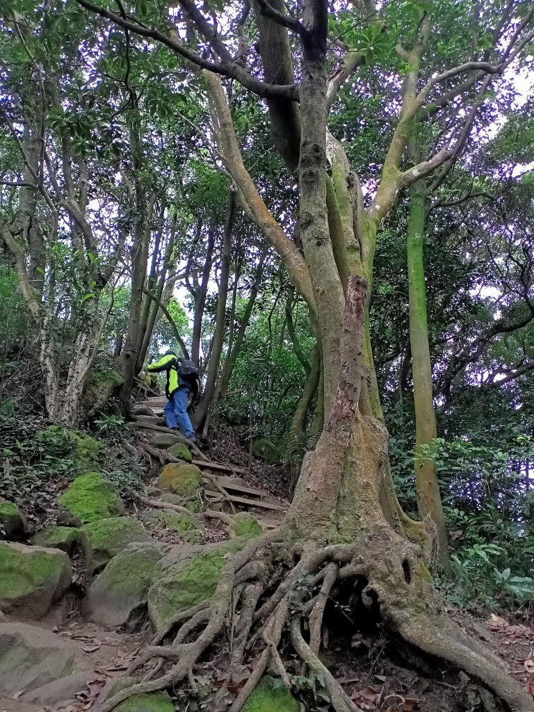 【南山神壽任務尋寶趣】鳶山彩壁、福德坑山步道【小百岳集起來】#19 鳶山登山步道_1580906