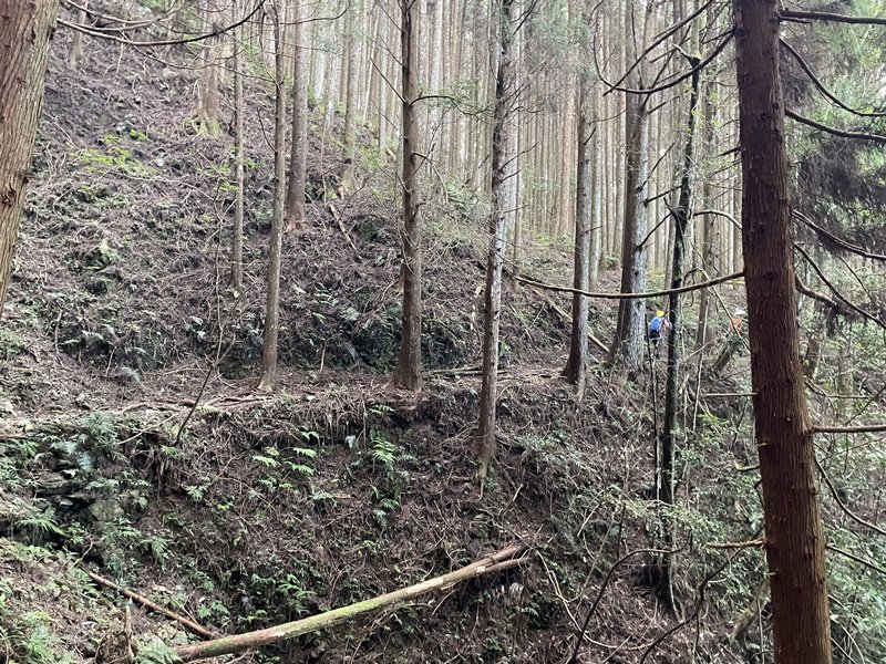 民都有山_2877332