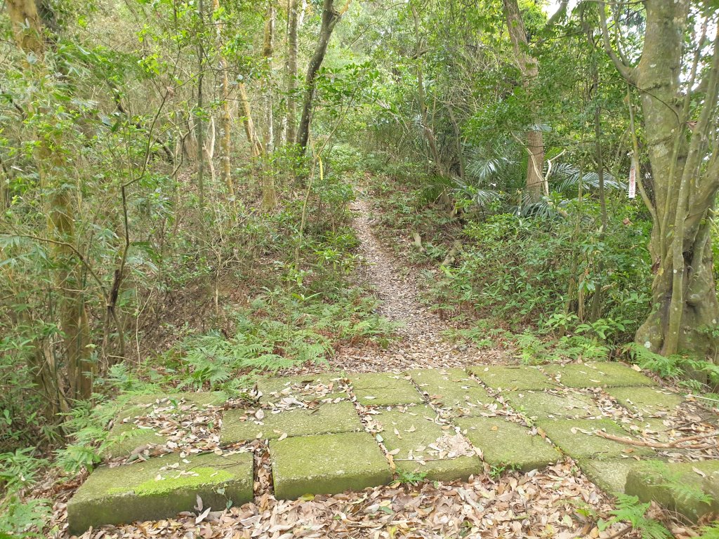 水寨下古道帽盒東山蕃子寮山封面圖