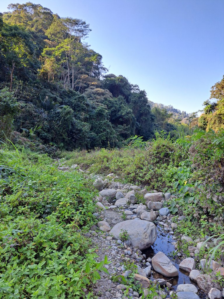 霧峰奧山+砲台山+桐林山O型20230127_2008301