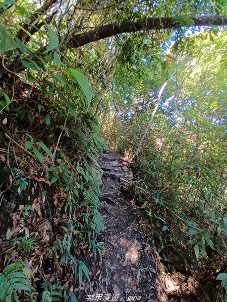 【台中和平】2022「谷關七雄，慢旅台中」登山活動認證。七雄中唯一有瀑布景觀~ 唐麻丹山x蝴蝶谷瀑布_1775955