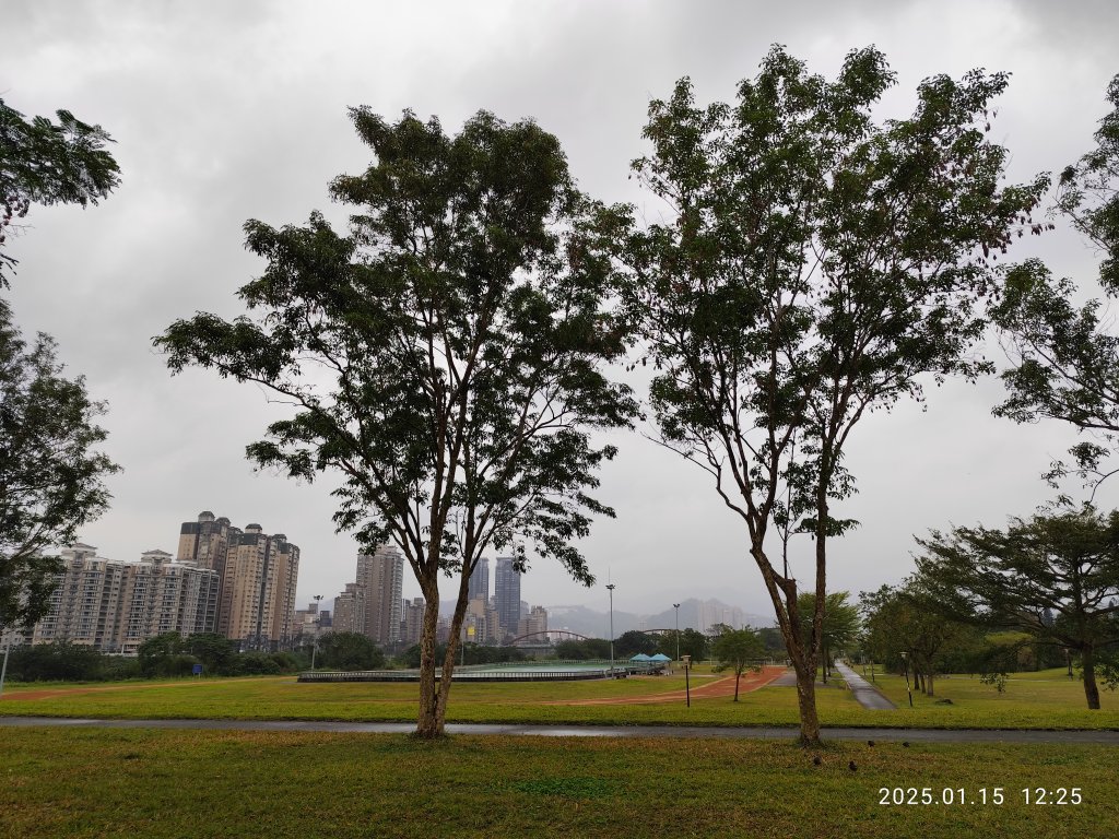 2-2 新店溪左岸自行車道→陽光運動公園→陽光橋→奇蹟公園_2690951