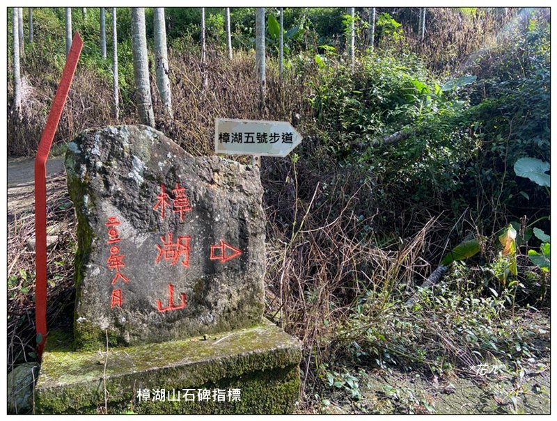 樟湖山 右上左下 (雲林、古坑)_2846302