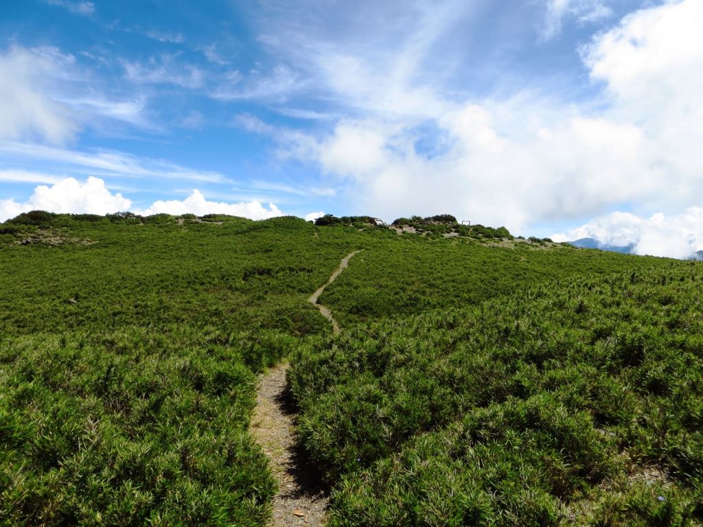 合歡西北峰(夏季北峰與母親節期西北峰)_126975