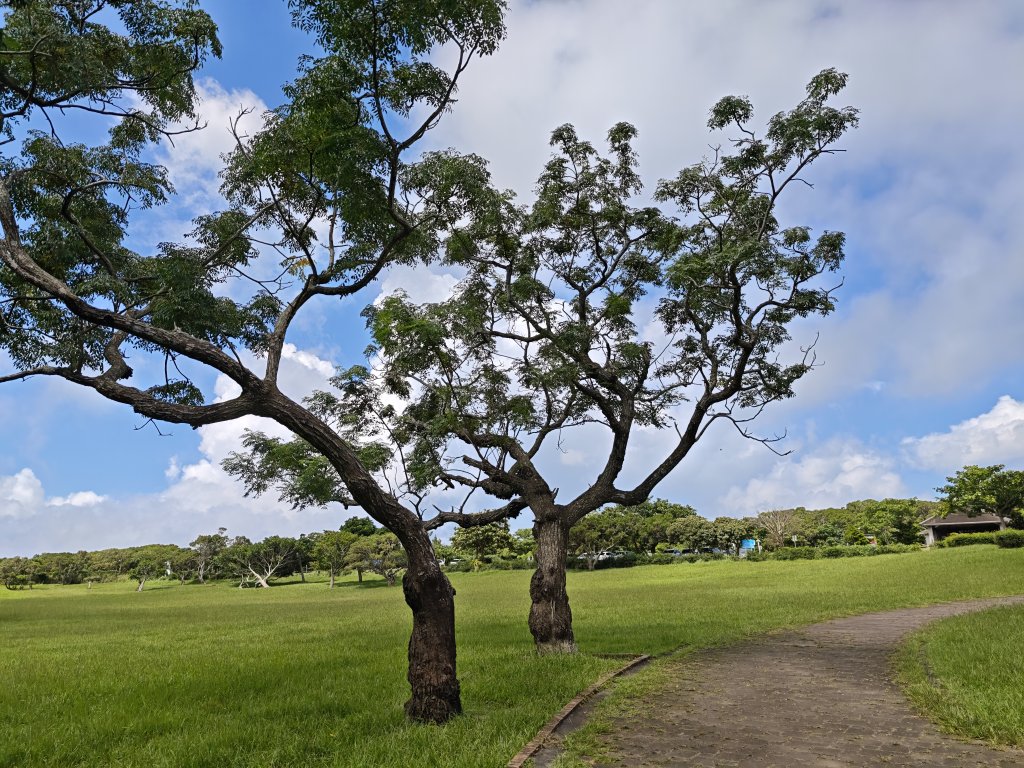 [百山百鳥尋旅-02/15] 2025_0809 社頂自然公園步道_2857221