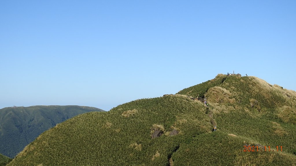秋高氣爽芒花季再度陽明山天際線-七星山主東峰+大屯山主南西峰向天面天山O型+小觀音山主西南峰共10峰_1511088