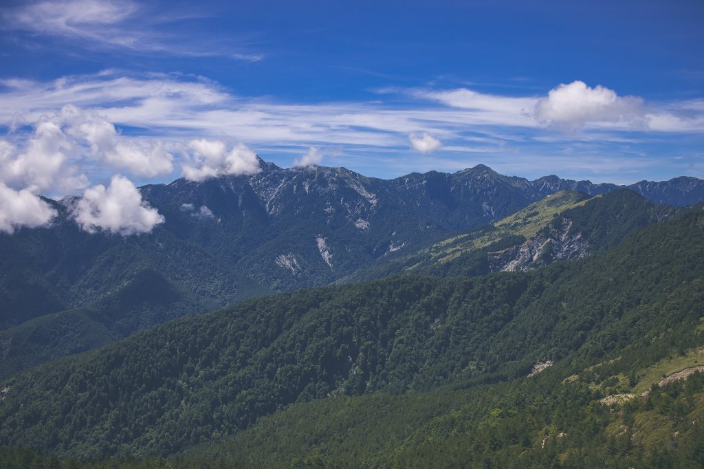 20230721-[南投] 合歡北峰步道_2534493