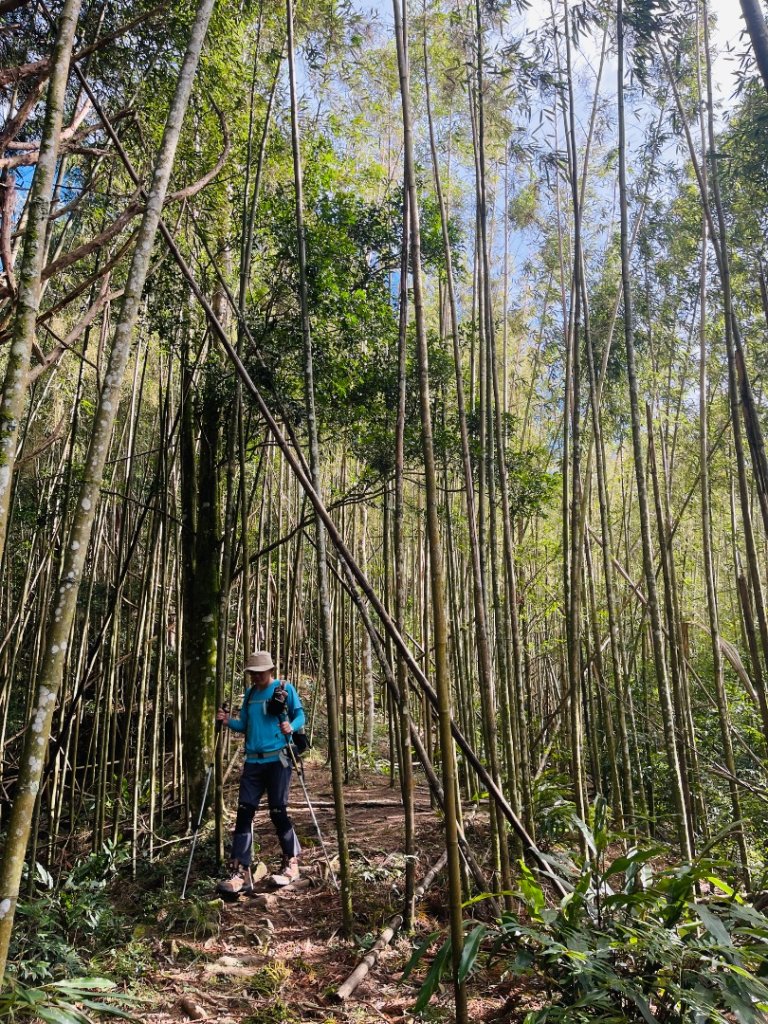 1141116油羅山_2946452