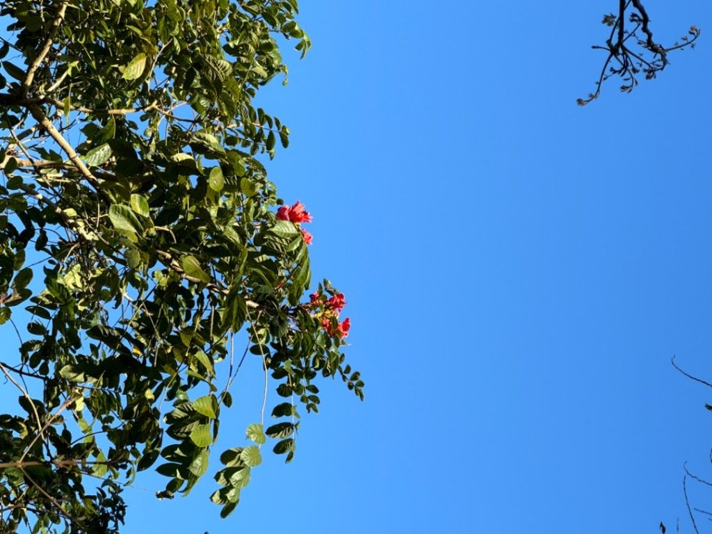 台南市白河區、嘉義縣大埔鄉交界，小百岳63號大棟山ㄧ等三角點_2428586