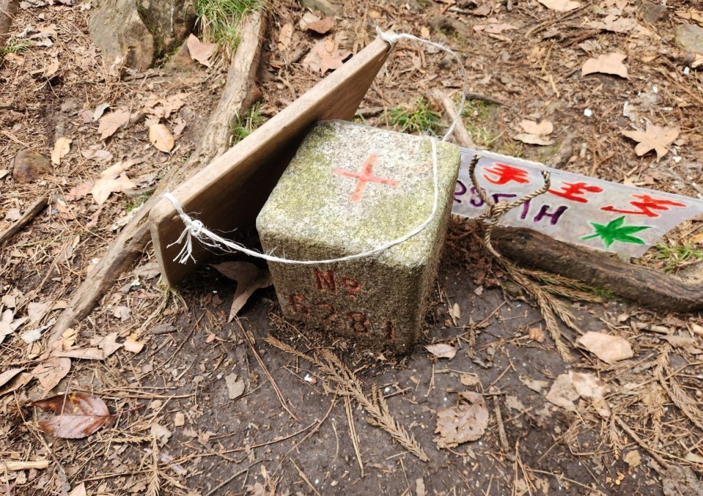 【中級山】芝生毛台山，芝生毛台山西峰，秀巒軍艦岩，屯野生步道，屯野生砲台_2745114