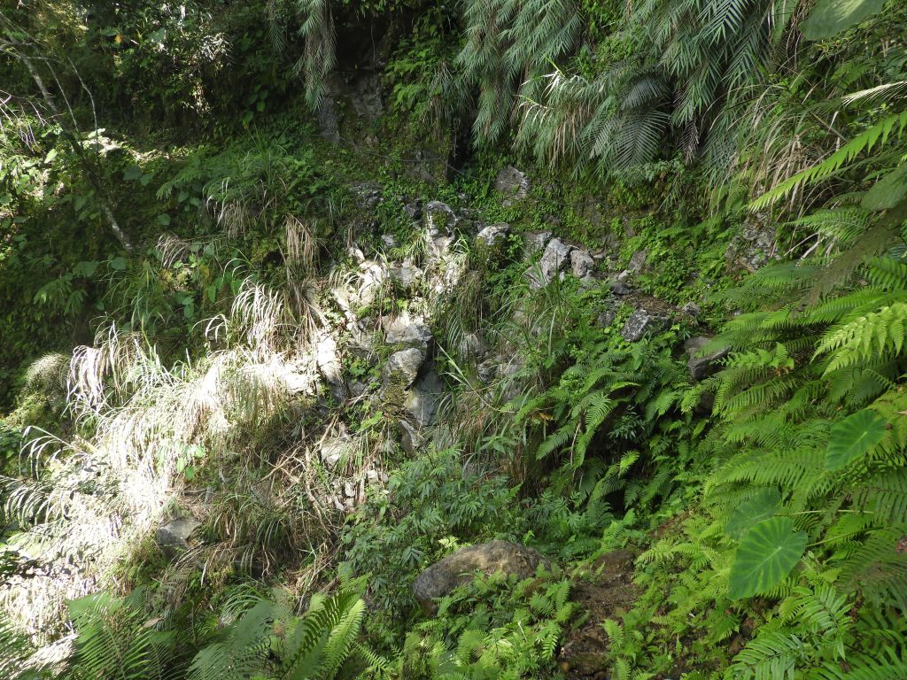 大同大禮步道(同禮古道)_282836