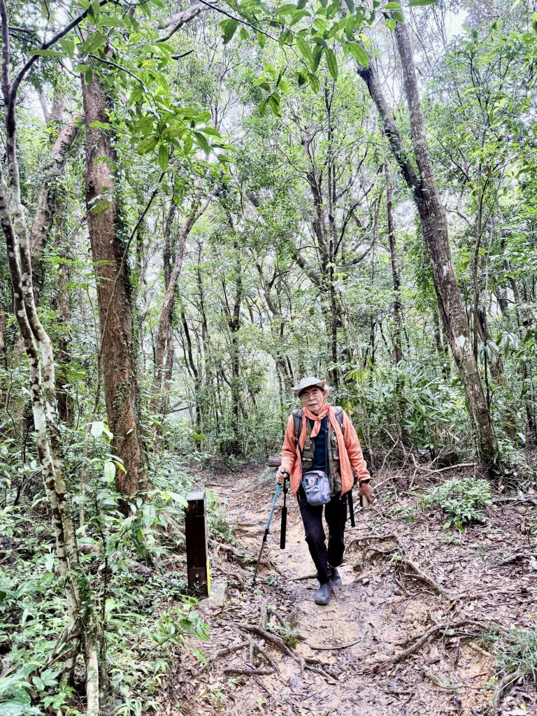 雙流帽子山悠遊  2025.01.03_2688562