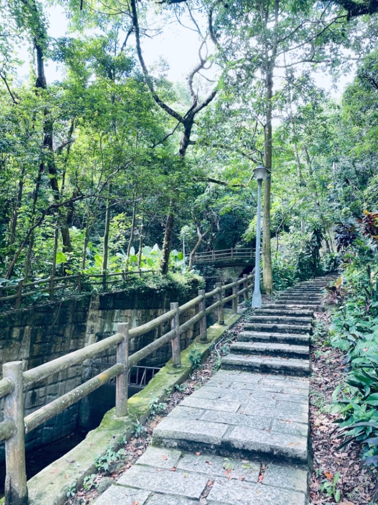 20240915 金面山親山步道_2598323