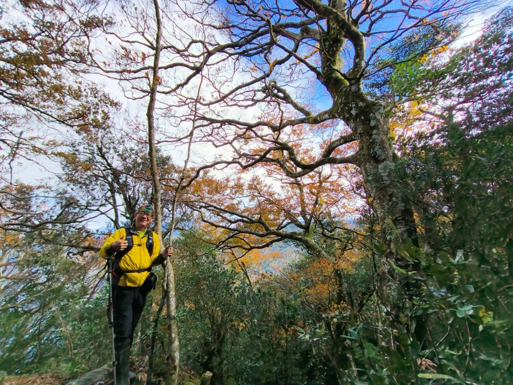 1121125 鳥嘴山縱走貴妃山_2363973