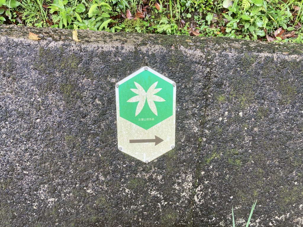 淡蘭中路O型_978749