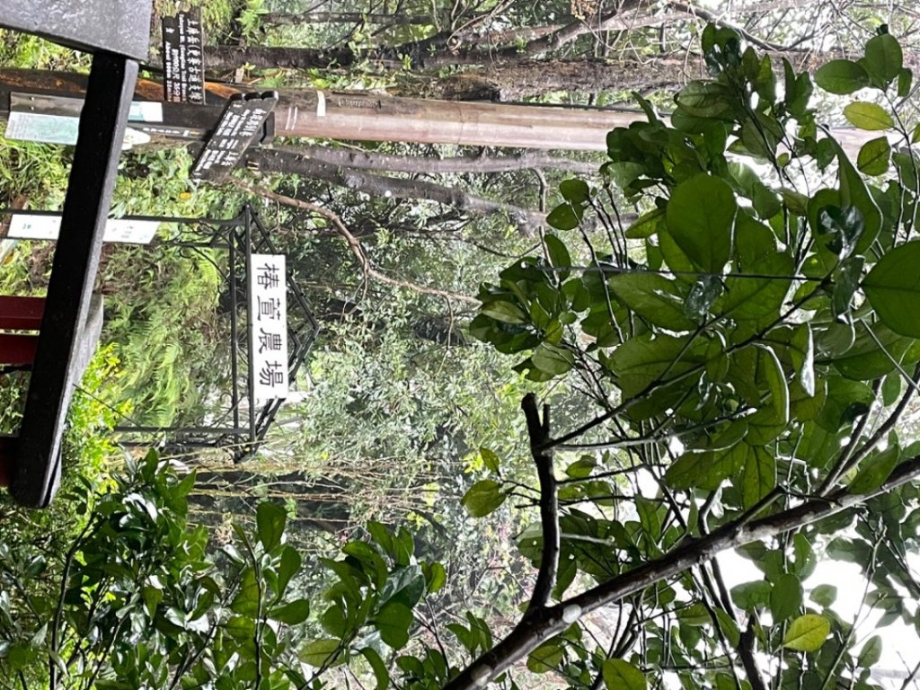 更寮古道-土庫岳_2041932