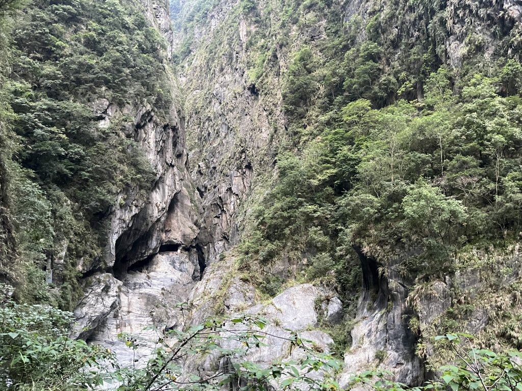 [花蓮絕美步道]2023_0618_九曲洞步道_2188062