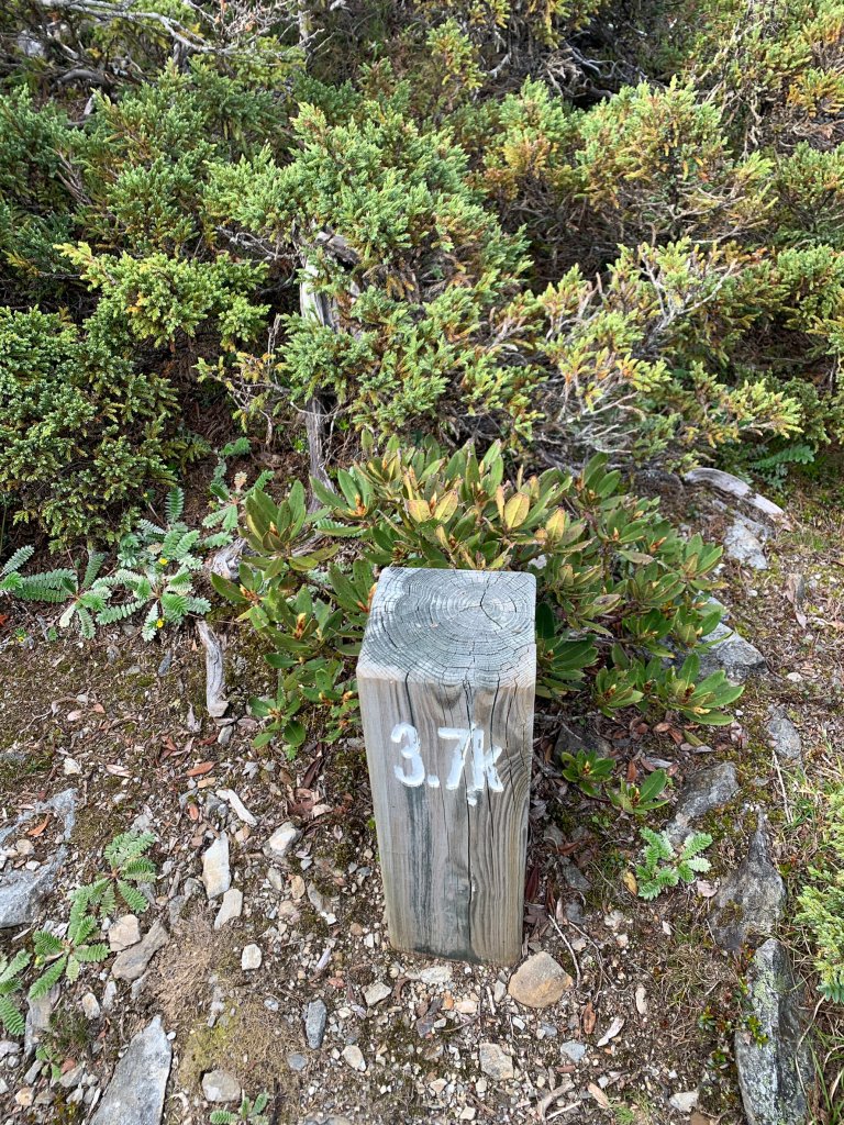 雪山主東北下翠池｜4天4夜｜北稜角上雪北｜聖稜線Y型縱走｜拜訪童話夢幻小屋｜入門C+級縱走_2088066