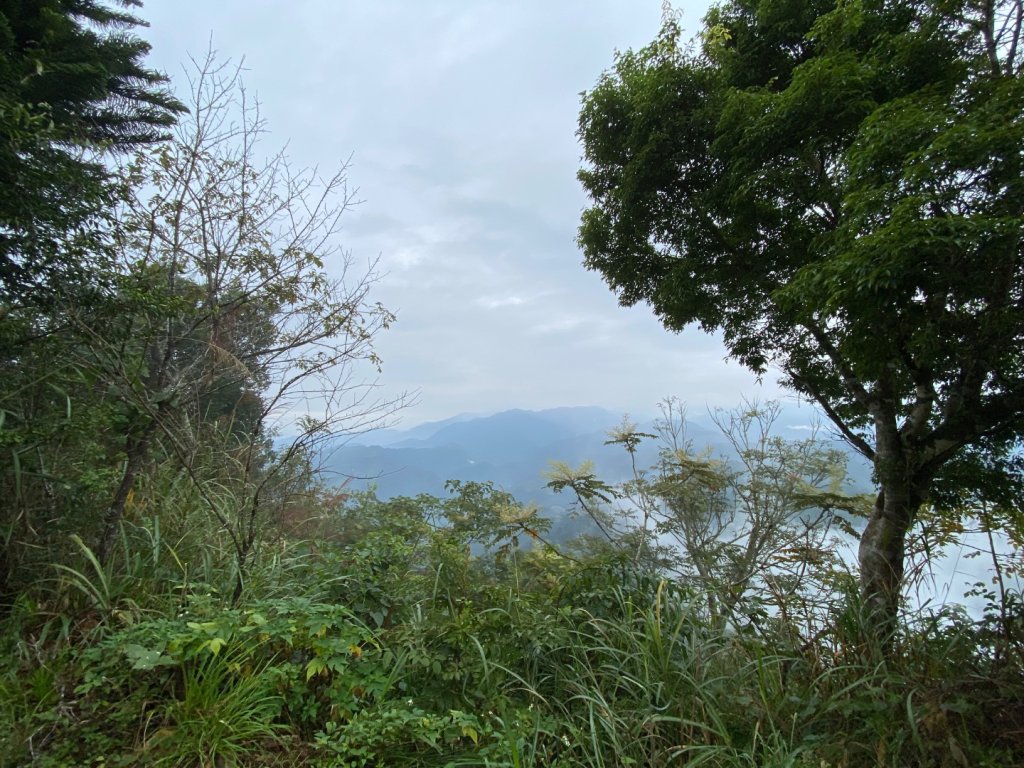 037苗栗泰安-馬那邦山_2604677